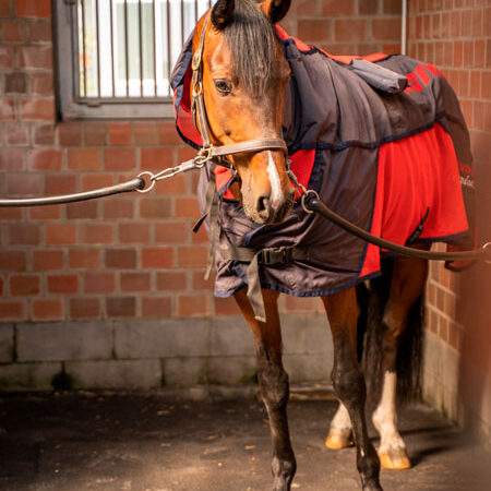 Magnetic field therapy