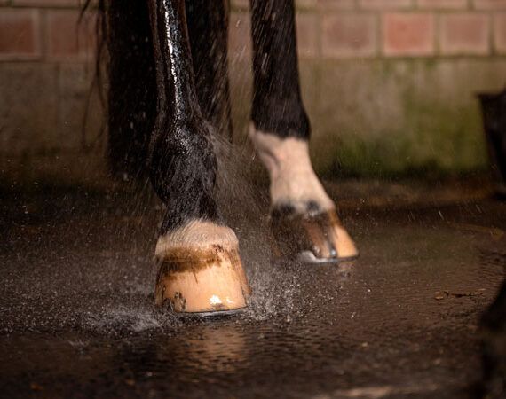 Cooling down after work