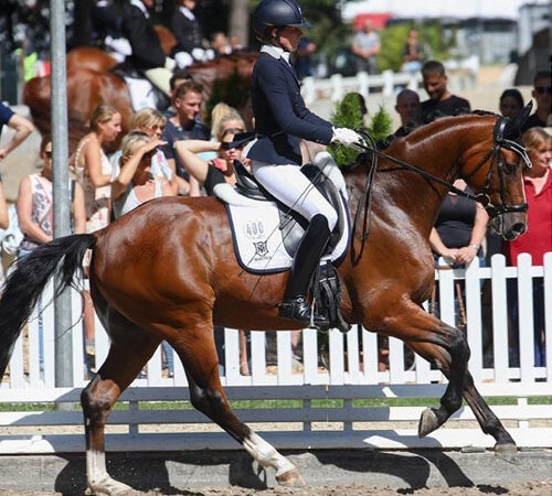 For Sure – sold to Portugal