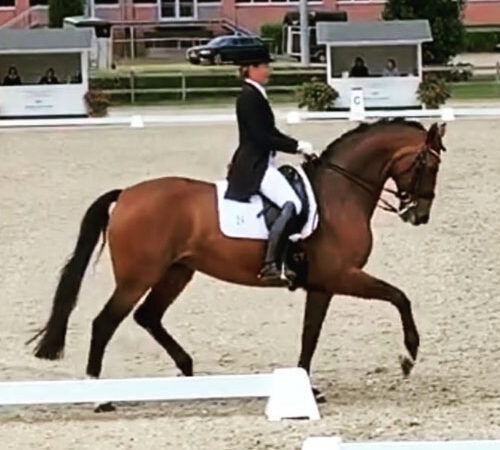 Bon Chance – sold to USA