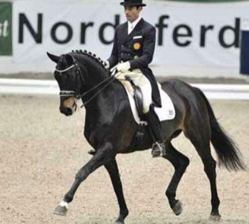 POR-Rose Response – sold to Denmark