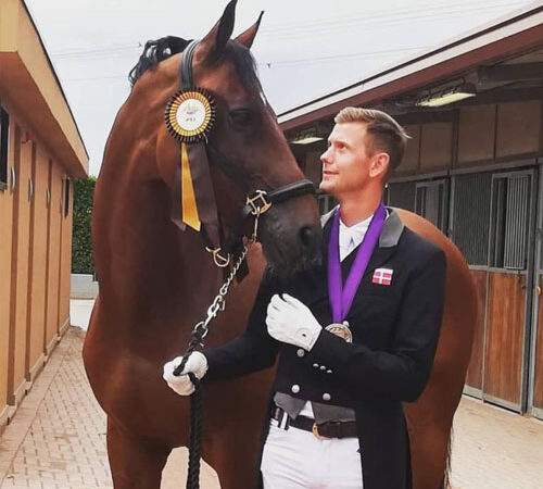 Diego 471  – sold to Denmark – 4th with Søren Wind EM 2019 U25