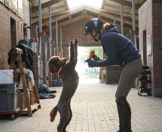 palma-e-santos-vita-antonia10