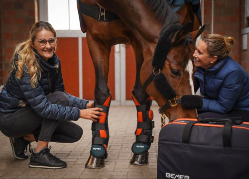 Bemer magnet support