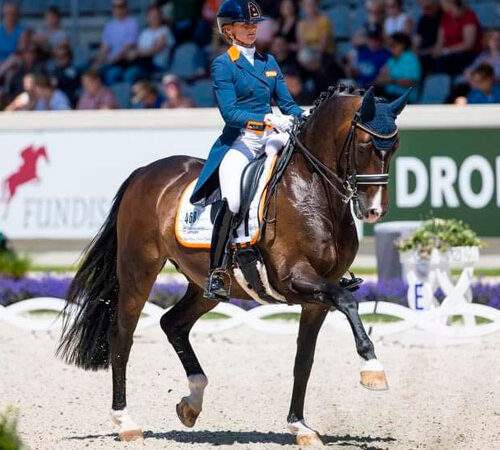 Torveslettens Titanium – sold to Netherland – successful with Marieke van der Putten in World Cup 2023