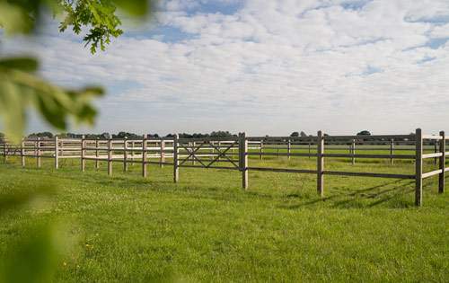 Beautiful Meadows