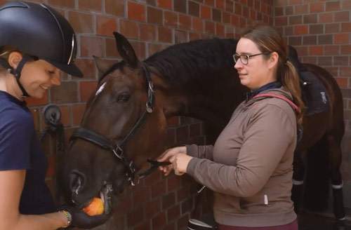 Working hand in hand