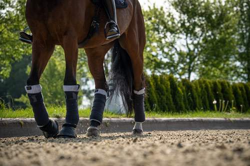 Best ground surfacing for healthy joints