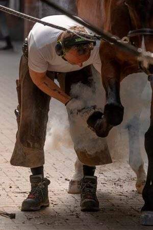 Farrier with biomechanical background
